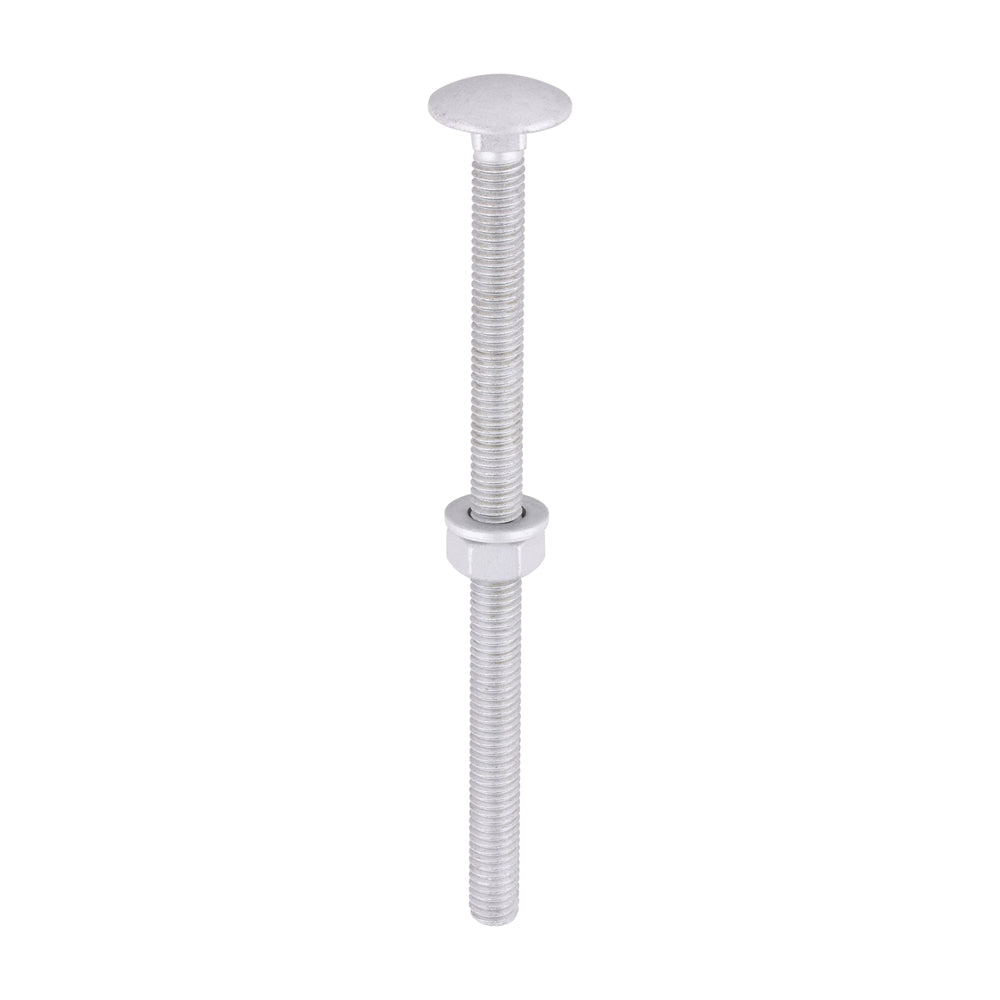 TIMCO Carriage Bolts DIN603, Hex Full Nuts DIN934 & Form A DIN125-A Washer Exterior Silver - M6 x 100 - Image