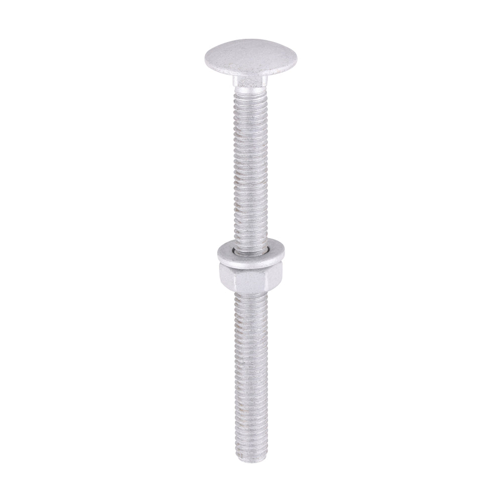 TIMCO Carriage Bolts DIN603, Hex Full Nuts DIN934 & Form A DIN125-A Washer Exterior Silver - M6 x 75 - Image