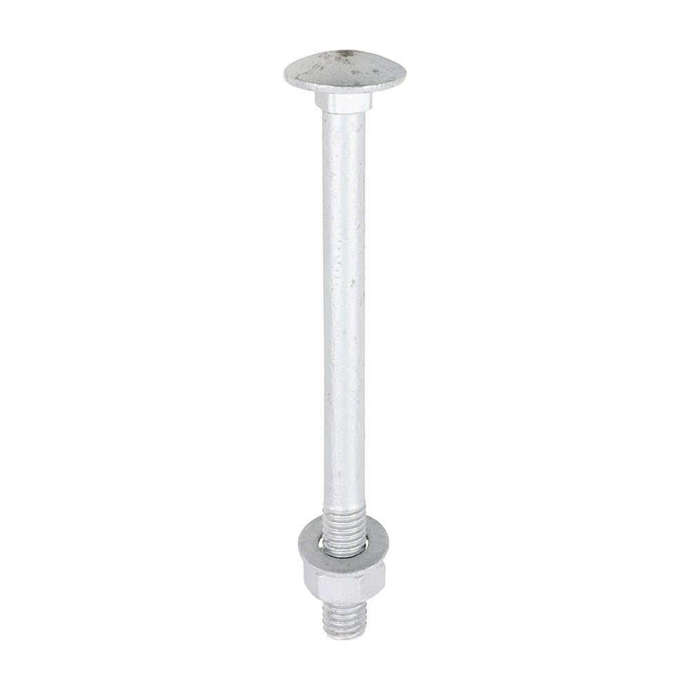 TIMCO Carriage Bolts DIN603, Hex Full Nuts DIN934 & Form A DIN125-A Washer Exterior Silver - M8 x 100 - Image