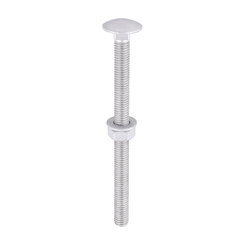 TIMCO Carriage Bolts DIN603, Hex Full Nuts DIN934 & Form A DIN125-A Washer Exterior Silver - M8 x 110 - Image