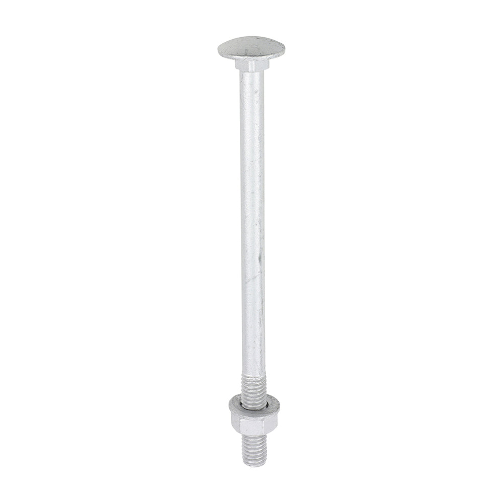 TIMCO Carriage Bolts DIN603, Hex Full Nuts DIN934 & Form A DIN125-A Washer Exterior Silver - M8 x 130 - Image