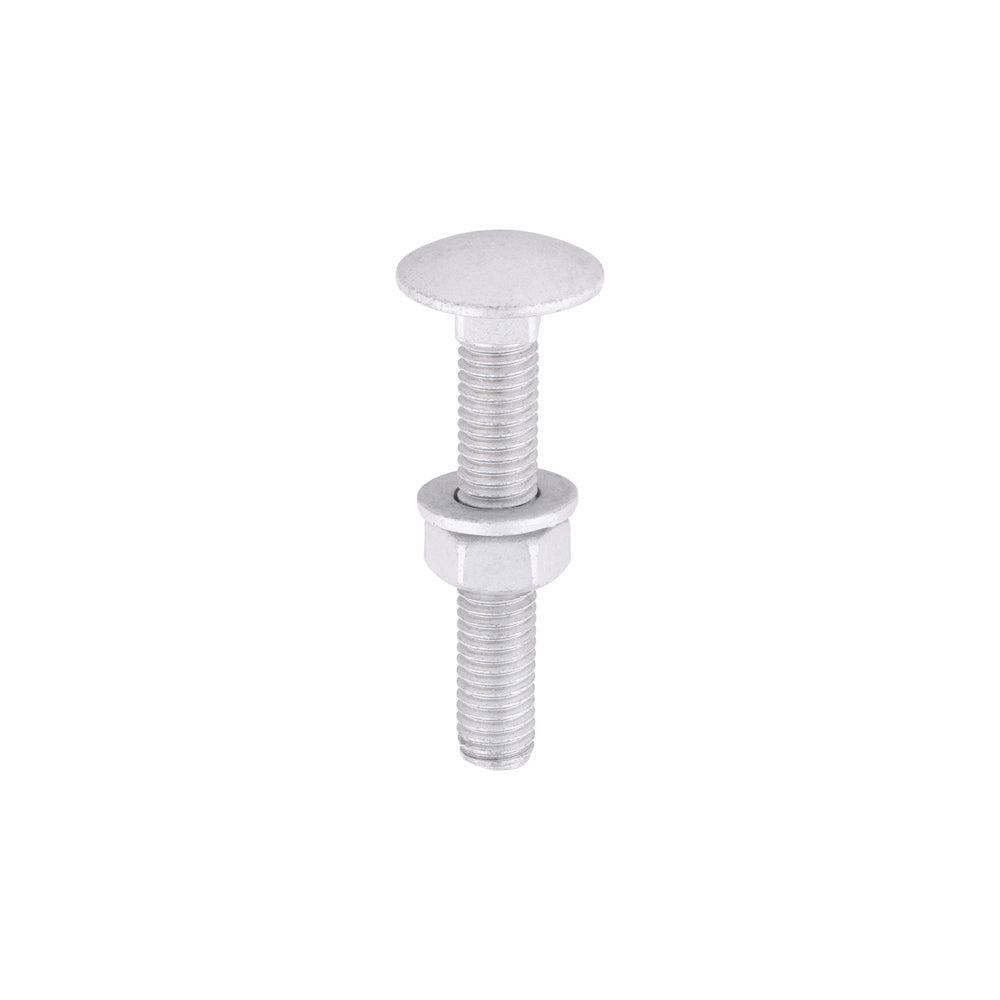 TIMCO Carriage Bolts DIN603, Hex Full Nuts DIN934 & Form A DIN125-A Washer Exterior Silver - M8 x 50 - Image
