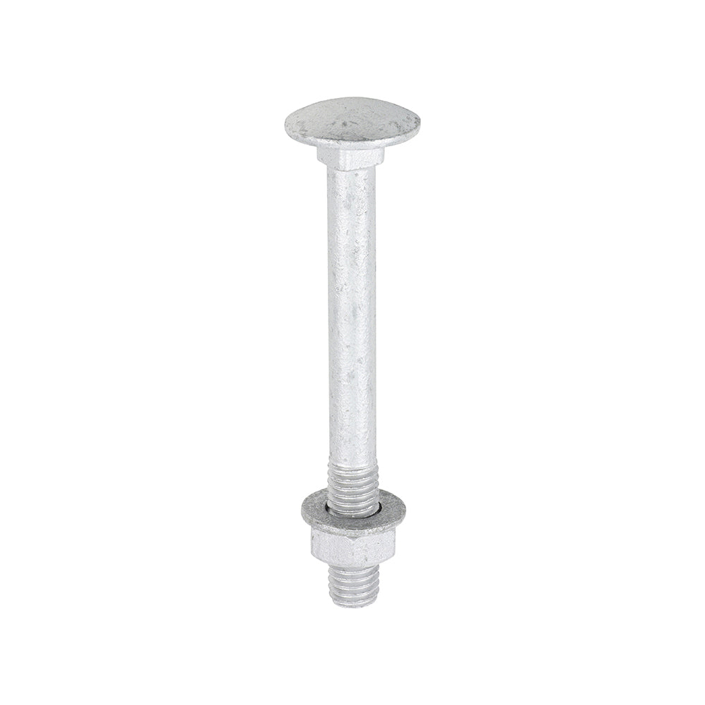 TIMCO Carriage Bolts DIN603, Hex Full Nuts DIN934 & Form A DIN125-A Washer Exterior Silver - M8 x 75 - Image