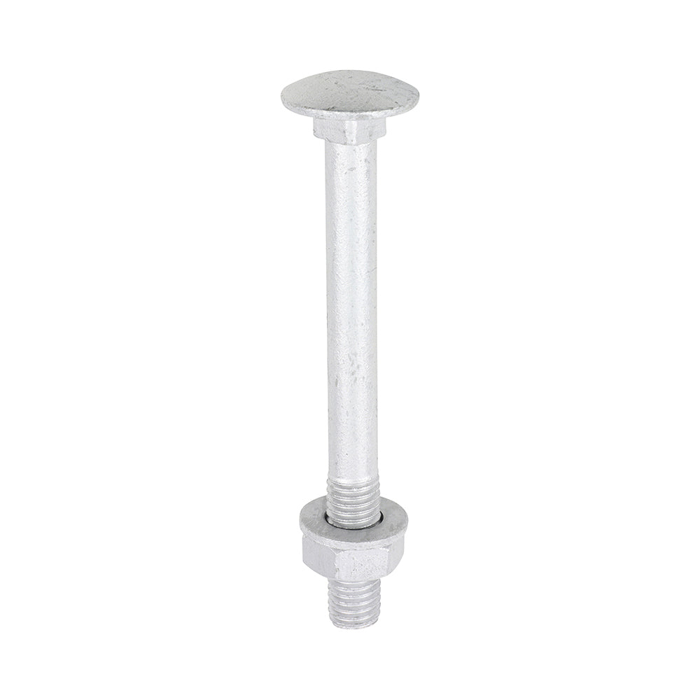 TIMCO Carriage Bolts DIN603, Hex Full Nuts DIN934 & Form A DIN125-A Washer Exterior Silver - M10 x 100 - Image