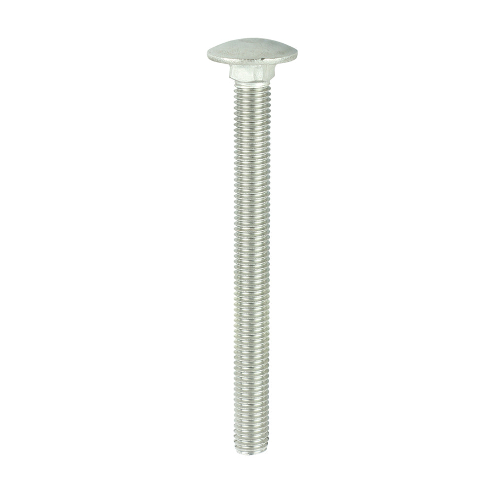 TIMCO Carriage Bolts DIN603 A2 Stainless Steel - M10 x 110 - Image