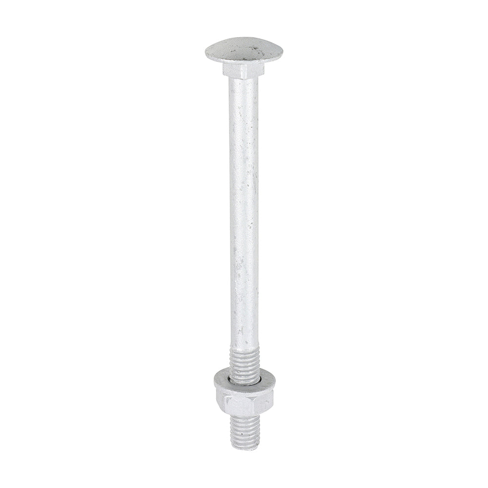 TIMCO Carriage Bolts DIN603, Hex Full Nuts DIN934 & Form A DIN125-A Washer Exterior Silver - M10 x 130 - Image