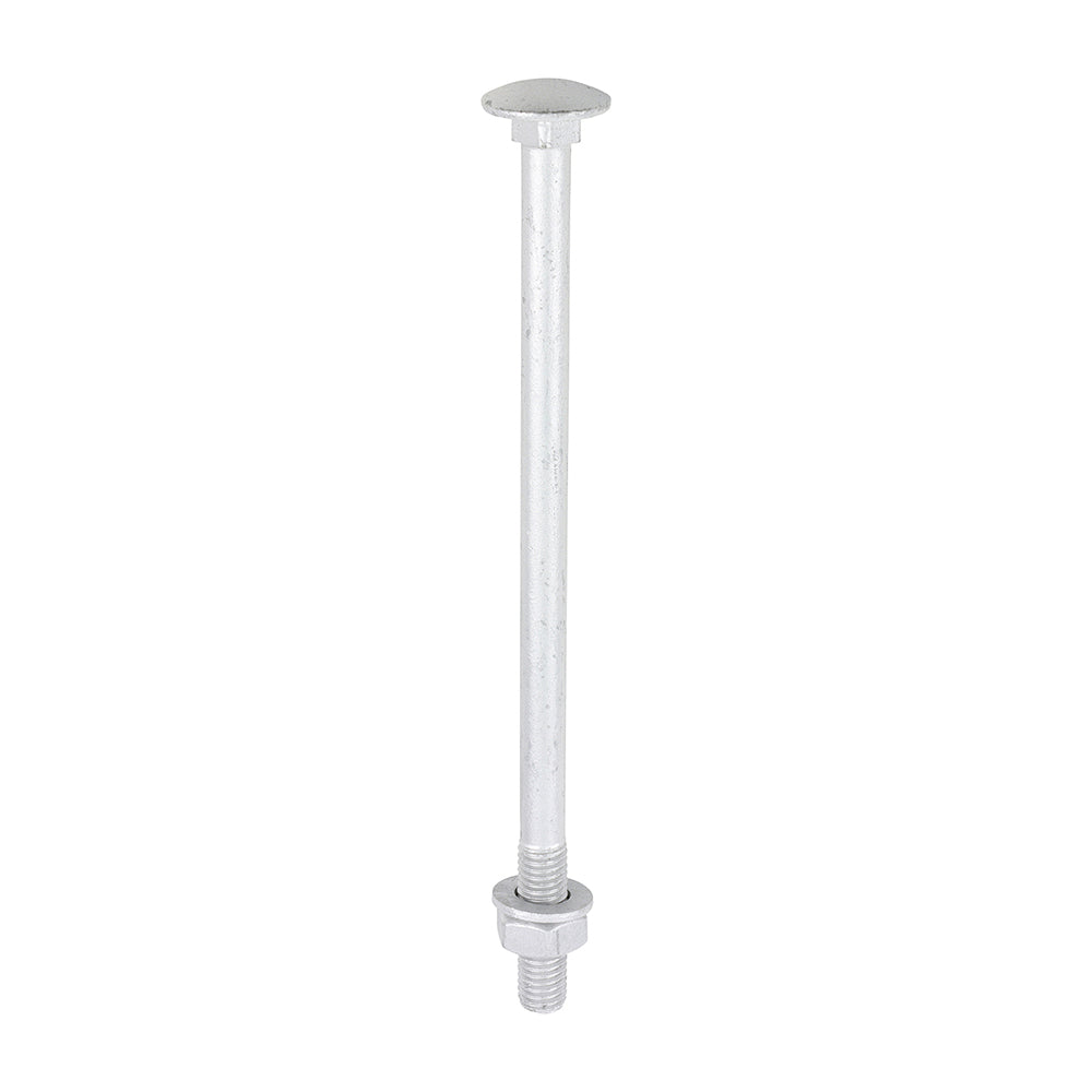 TIMCO Carriage Bolts DIN603, Hex Full Nuts DIN934 & Form A DIN125-A Washer Exterior Silver - M10 x 180 - Image