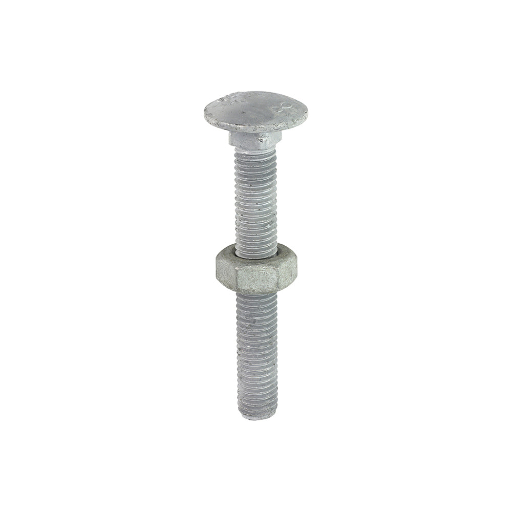 TIMCO Carriage Bolts DIN603 & Hex Full Nuts DIN934 Hot Dipped Galvanised - M10 x 75 - Image