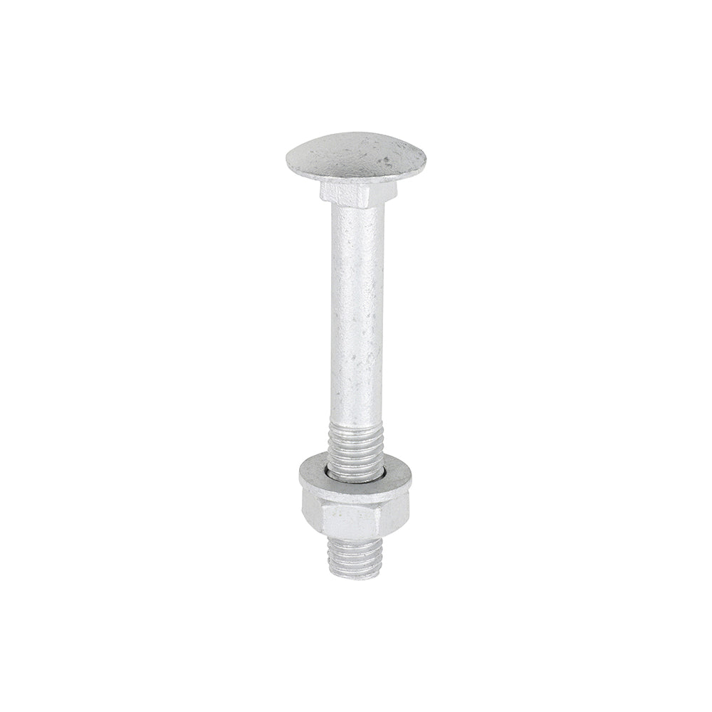 TIMCO Carriage Bolts DIN603, Hex Full Nuts DIN934 & Form A DIN125-A Washer Exterior Silver - M10 x 75 - Image