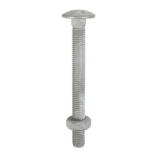 TIMCO Carriage Bolts DIN603 & Hex Full Nuts DIN934 Hot Dipped Galvanised - M12 x 110 - Image