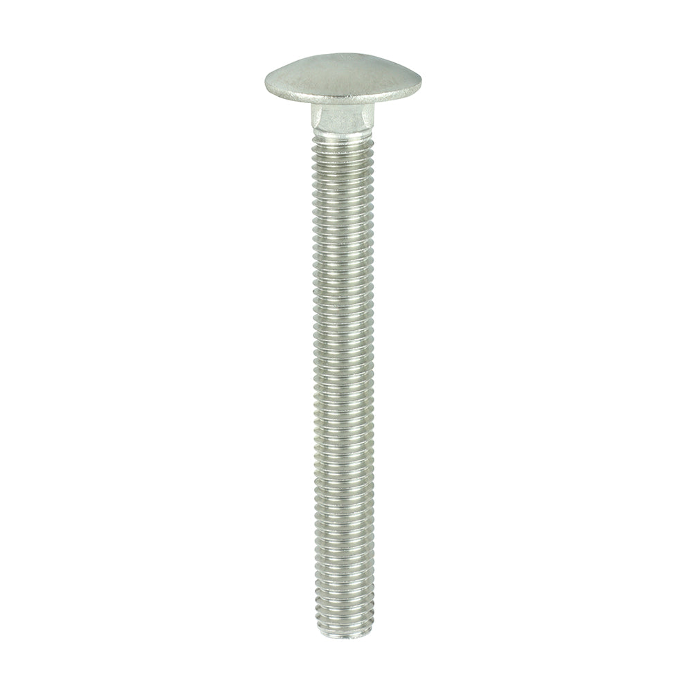 TIMCO Carriage Bolts DIN603 A2 Stainless Steel - M12 x 110 - Image