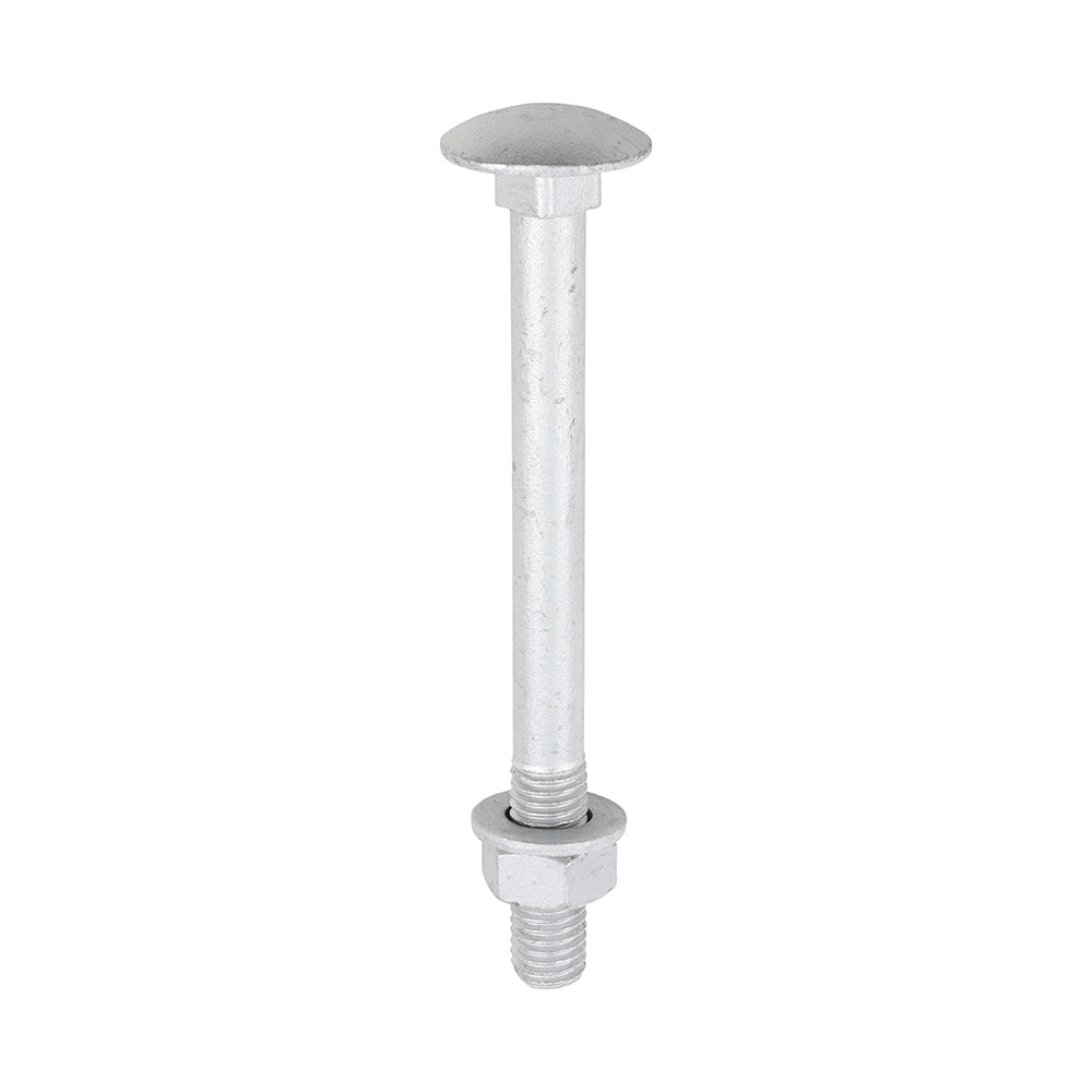TIMCO Carriage Bolts DIN603, Hex Full Nuts DIN934 & Form A DIN125-A Washer Exterior Silver - M12 x 130 - Image