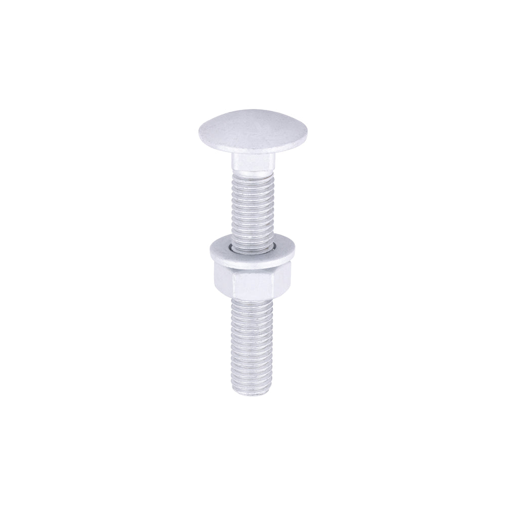 TIMCO Carriage Bolts DIN603, Hex Full Nuts DIN934 & Form A DIN125-A Washer Exterior Silver - M12 x 75 - Image