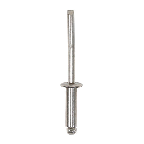 TIMCO Rivets Dome Head A2 Stainless Steel - 3.2 x 8 - Image