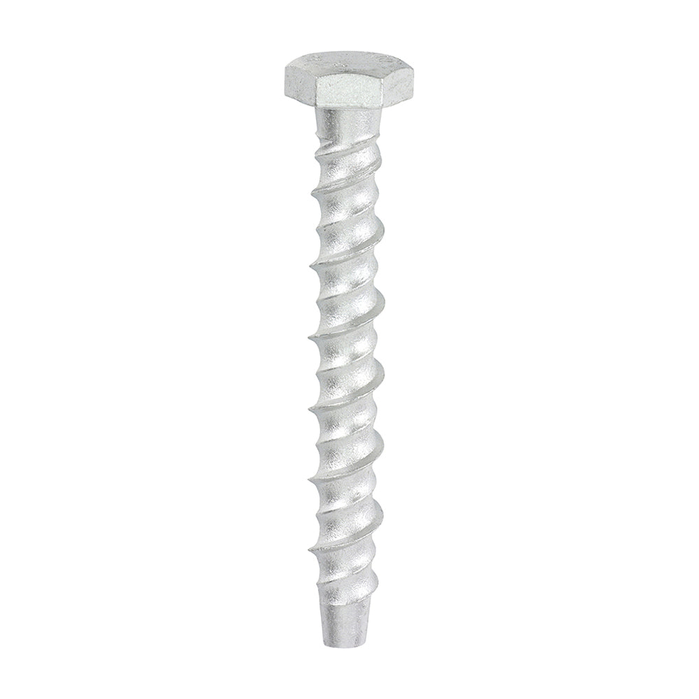 TIMCO Multi-Fix Bolts Hex Head Exterior Silver - 8.0 x 75 - Image