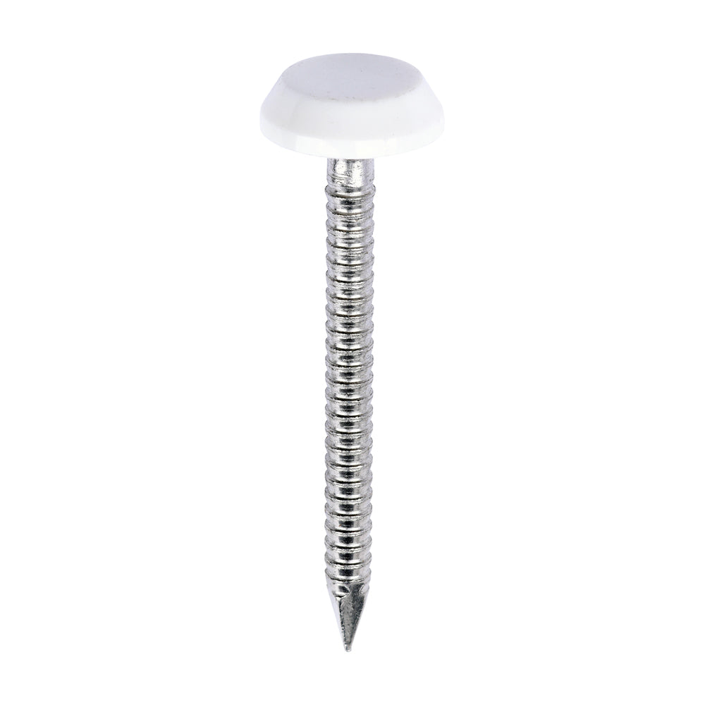 TIMCO Polymer Headed Nails A4 Stainless Steel White - 40mm - Image