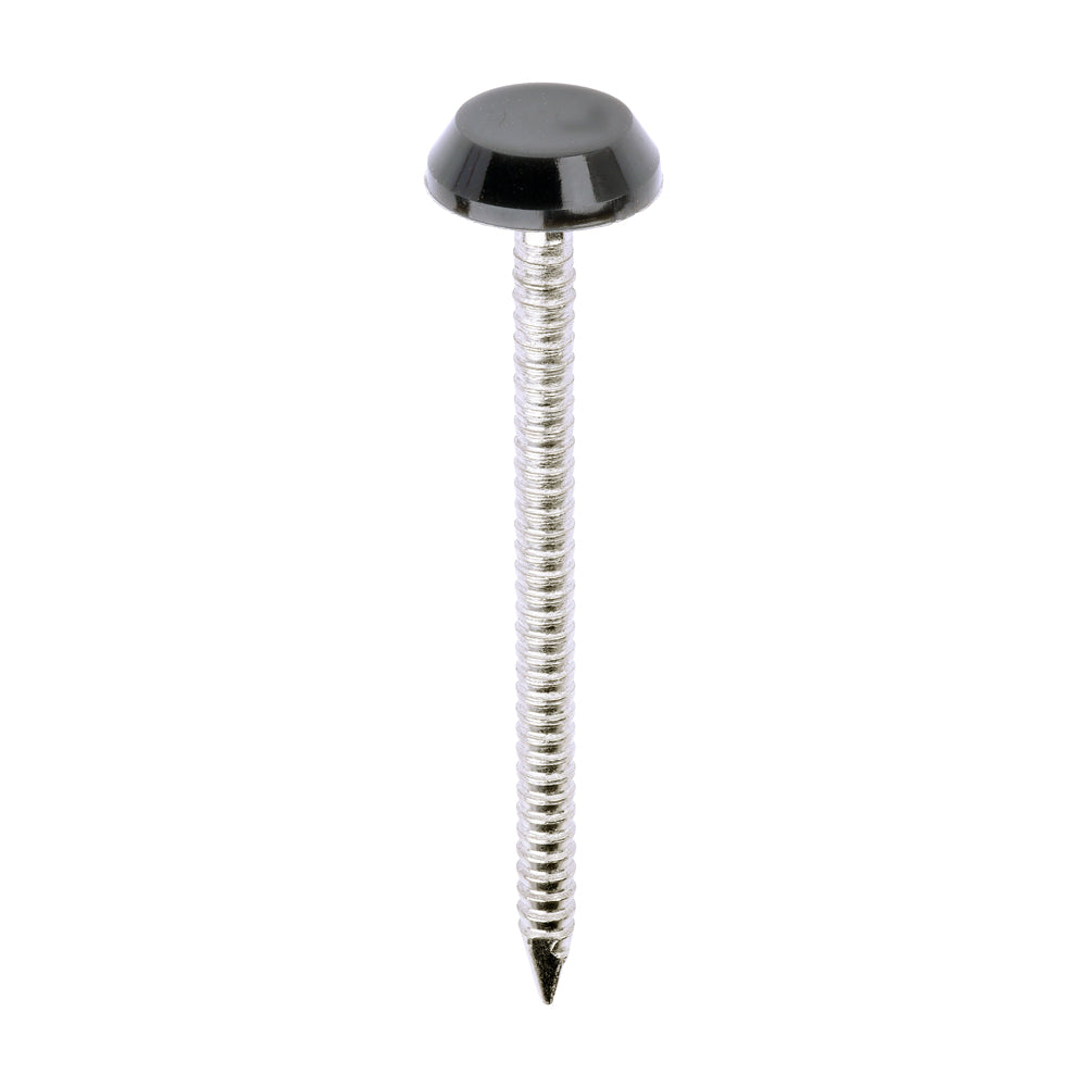 TIMCO Polymer Headed Nails A4 Stainless Steel Anthracite Grey - 50mm - Image