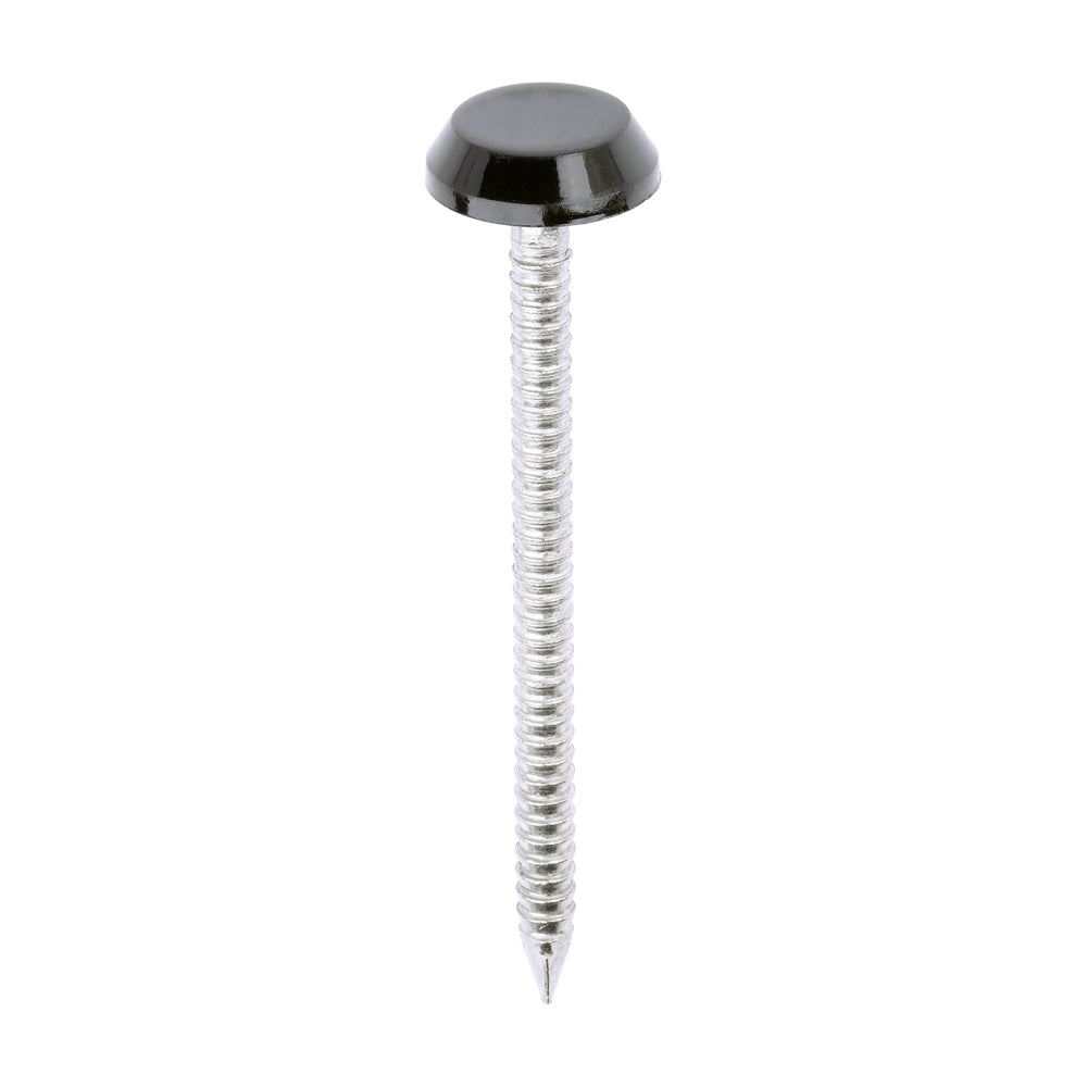TIMCO Polymer Headed Nails A4 Stainless Steel Black - 50mm - Image