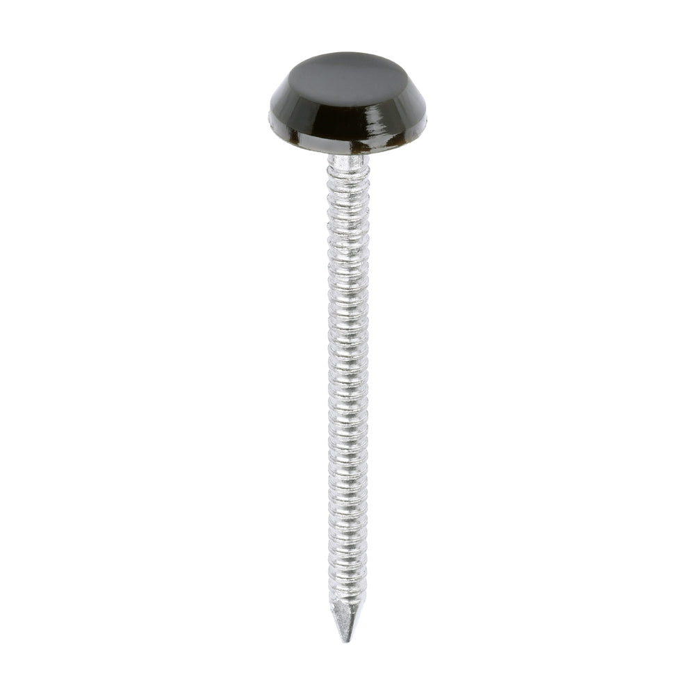 TIMCO Polymer Headed Nails A4 Stainless Steel Mahogany - 50mm - Image