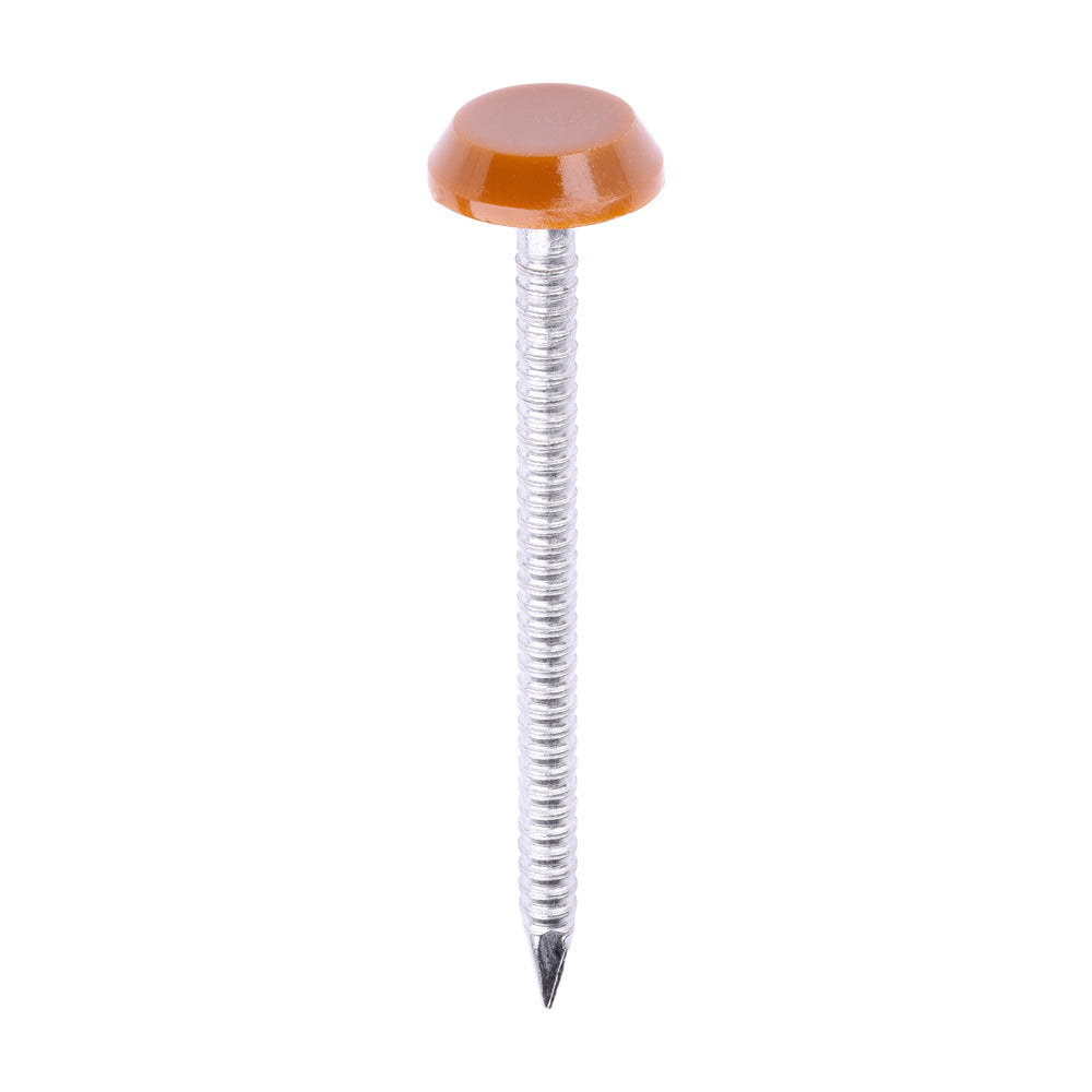TIMCO Polymer Headed Nails A4 Stainless Steel Clay Brown - 50mm - Image