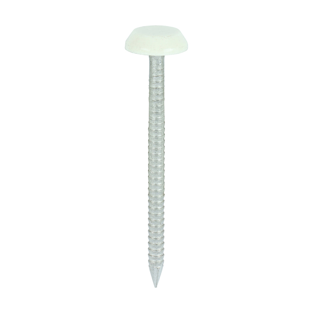 TIMCO Polymer Headed Nails A4 Stainless Steel Chartwell Green - 50mm - Image