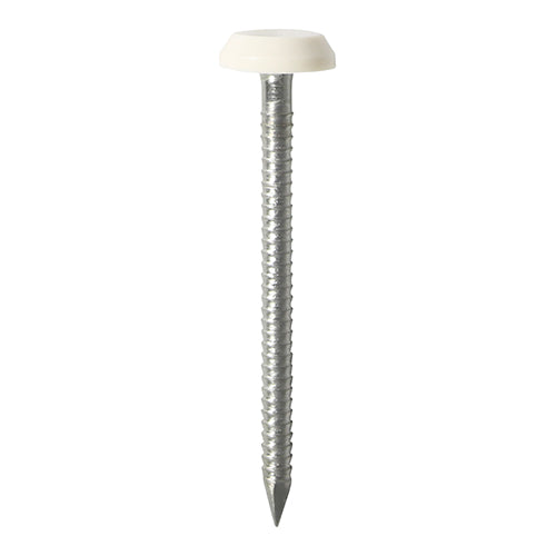 TIMCO Polymer Headed Nails A4 Stainless Steel White - 50mm - Image