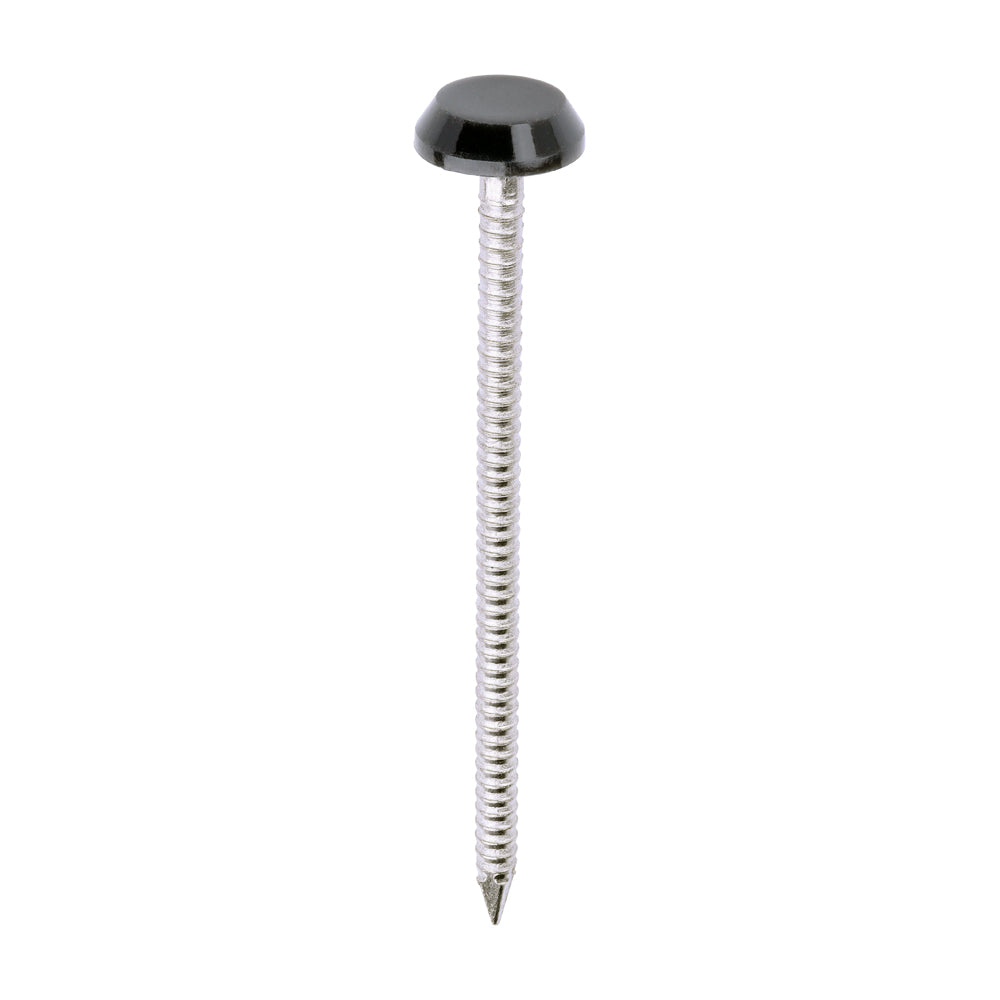 TIMCO Polymer Headed Nails A4 Stainless Steel Anthracite Grey - 65mm - Image