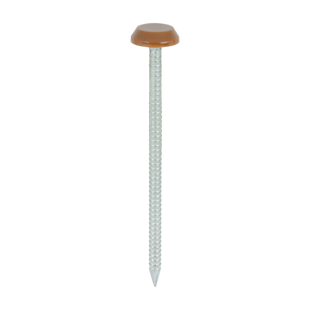 TIMCO Polymer Headed Nails A4 Stainless Steel Clay Brown - 65mm - Image