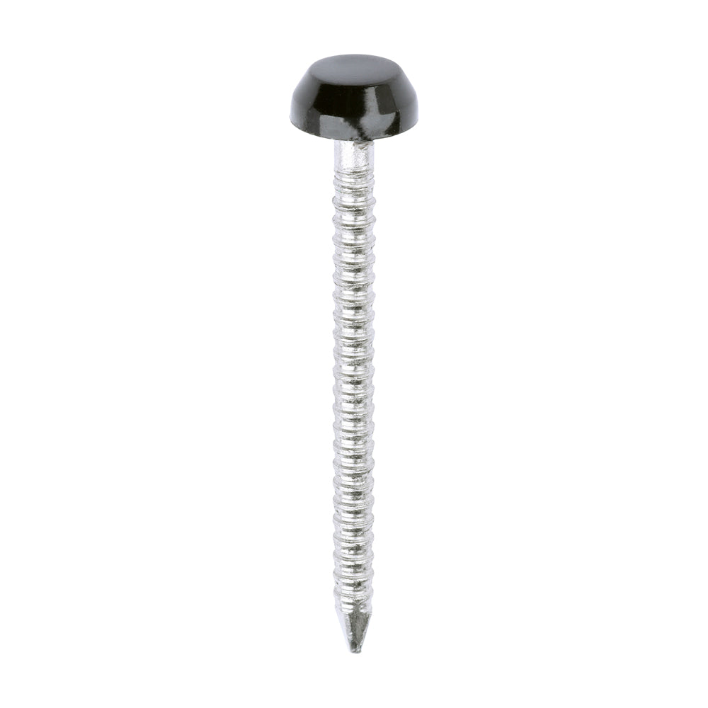 TIMCO Polymer Headed Pins A4 Stainless Steel Black - 30mm - Image