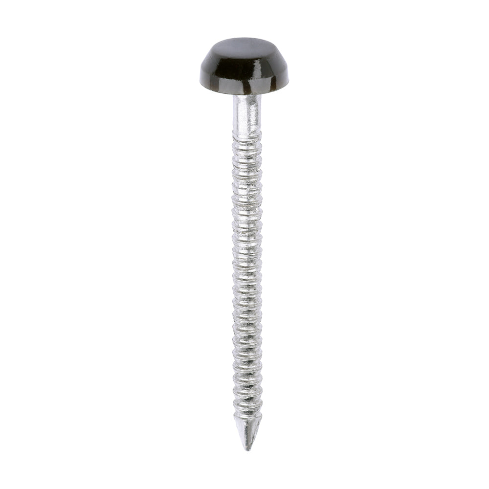 TIMCO Polymer Headed Pins A4 Stainless Steel Mahogany - 30mm - Image