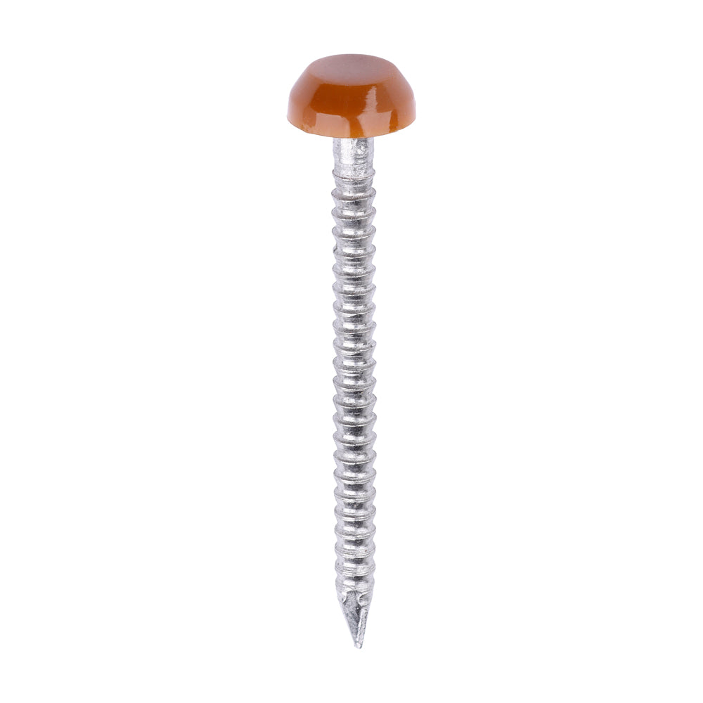 TIMCO Polymer Headed Pins A4 Stainless Steel Clay Brown - 30mm - Image