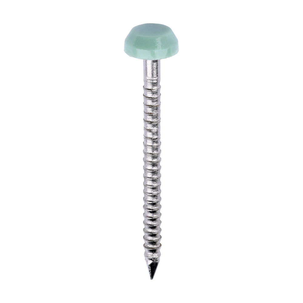 TIMCO Polymer Headed Pins A4 Stainless Steel Chartwell Green - 30mm - Image