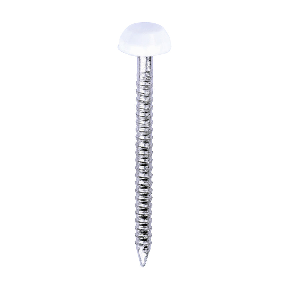 TIMCO Polymer Headed Pins A4 Stainless Steel White - 30mm - Image