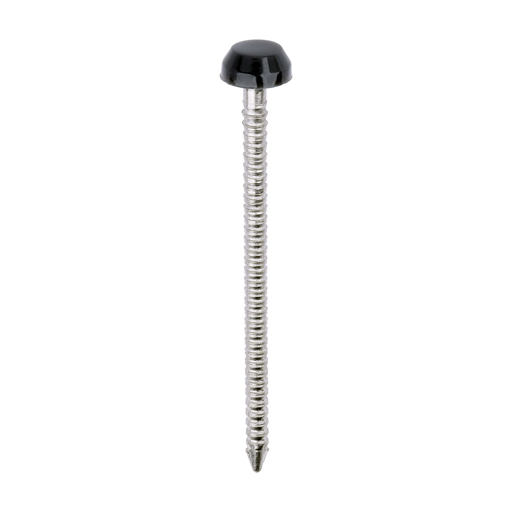TIMCO Polymer Headed Pins A4 Stainless Steel Anthracite Grey - 40mm - Image