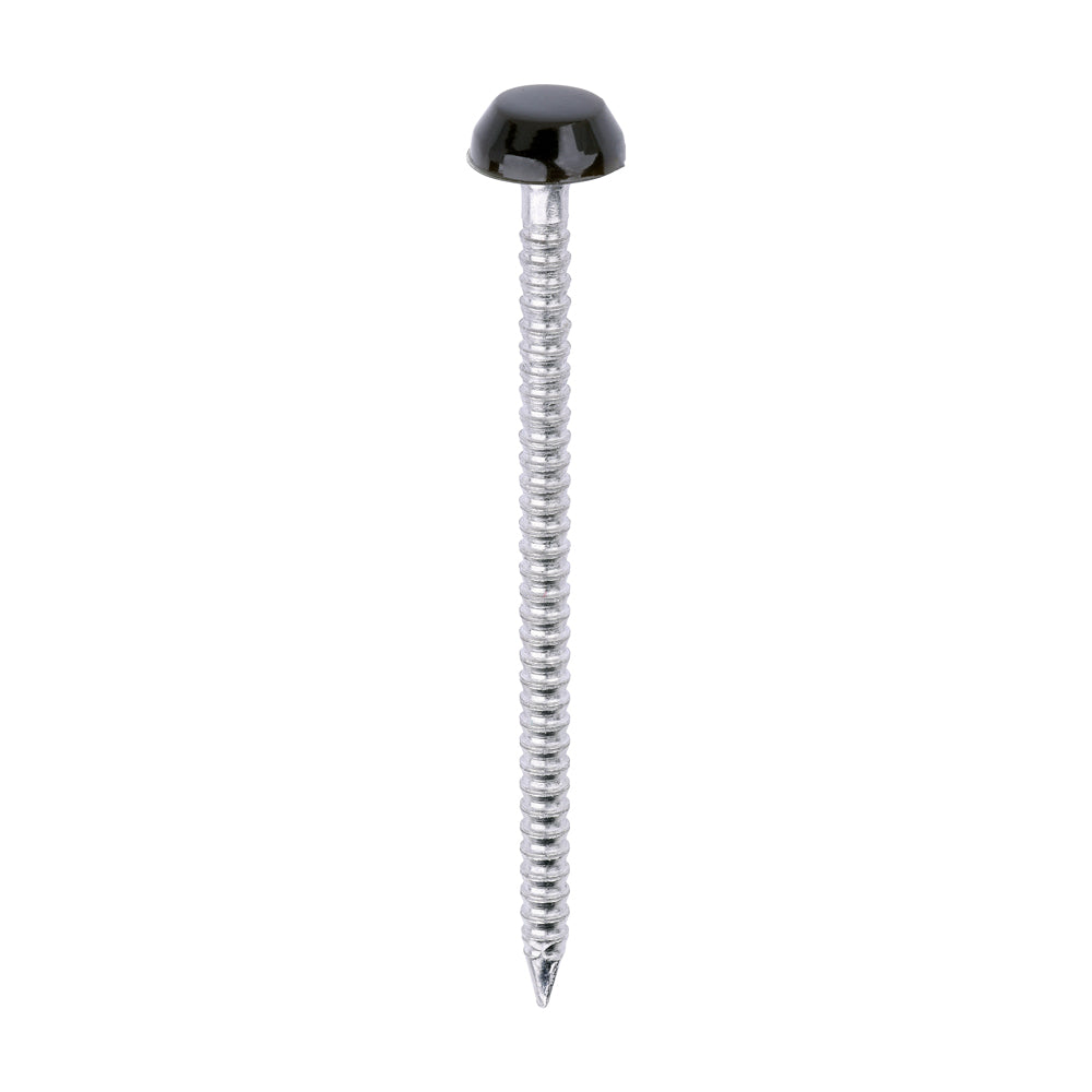 TIMCO Polymer Headed Pins A4 Stainless Steel Mahogany - 40mm - Image