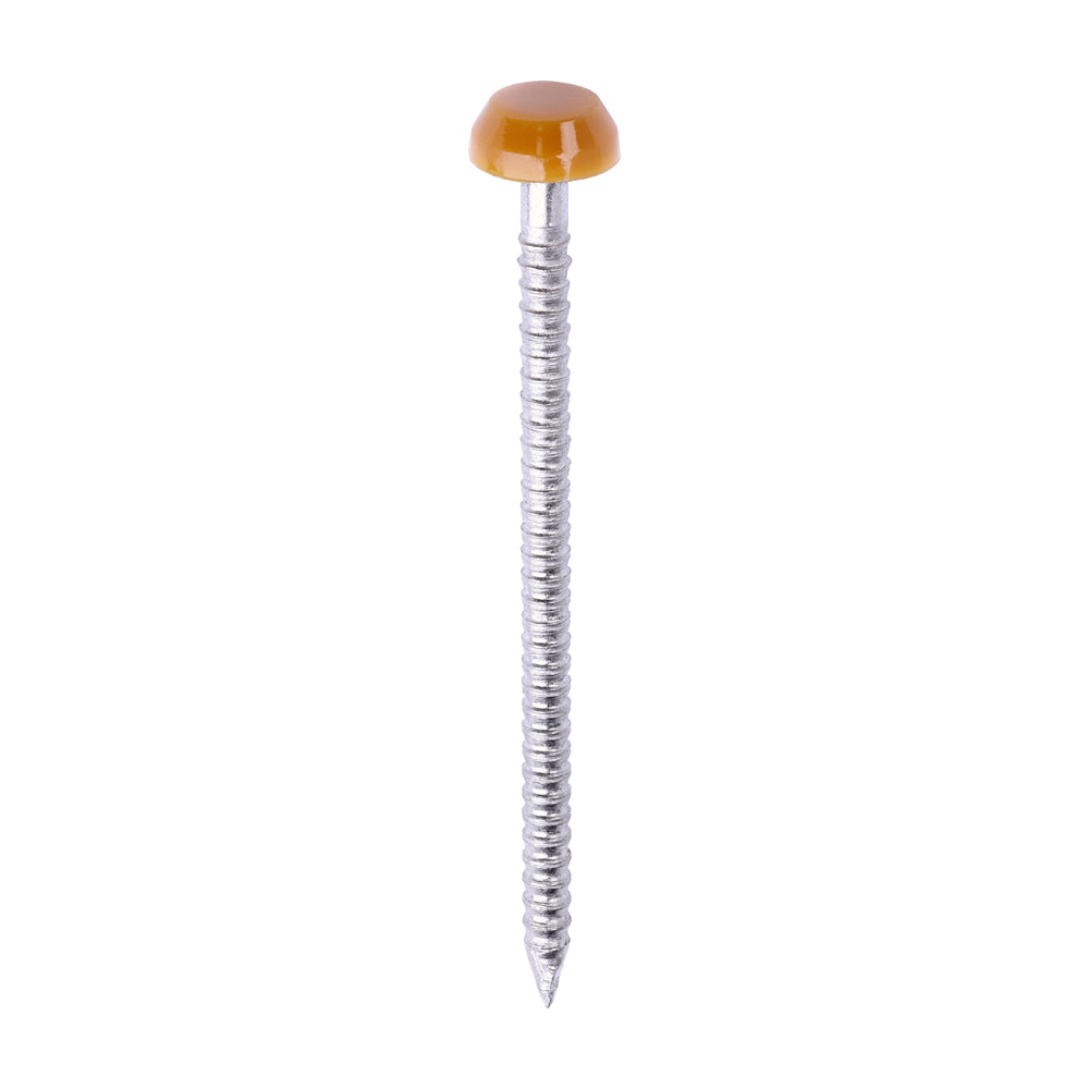 TIMCO Polymer Headed Pins A4 Stainless Steel Oak - 40mm - Image