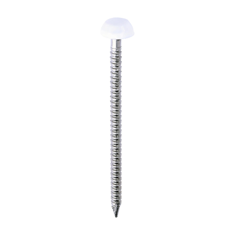 TIMCO Polymer Headed Pins A4 Stainless Steel White - 40mm - Image