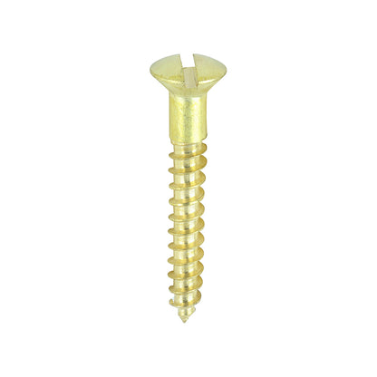 TIMCO Solid Brass Round Head Woodscrews - 6 x 1 - Image