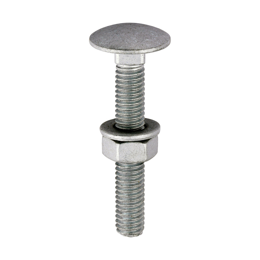 TIMCO Carriage Bolts DIN603, Hex Full Nuts DIN934 & Form A DIN125-A Washer Exterior Silver - M6 x 40 - Image