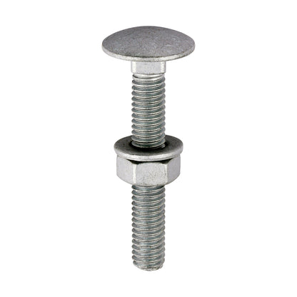 TIMCO Carriage Bolts DIN603, Hex Full Nuts DIN934 & Form A DIN125-A Washer Exterior Silver - M6 x 40 - Image