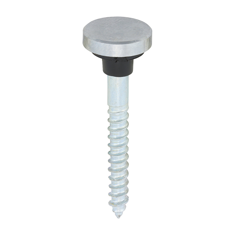 TIMCO Mirror Screws Flat Head Chrome - 8 x 1 1/2 - Image
