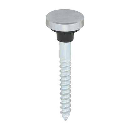 TIMCO Mirror Screws Flat Head Chrome - 8 x 1 1/2 - Image