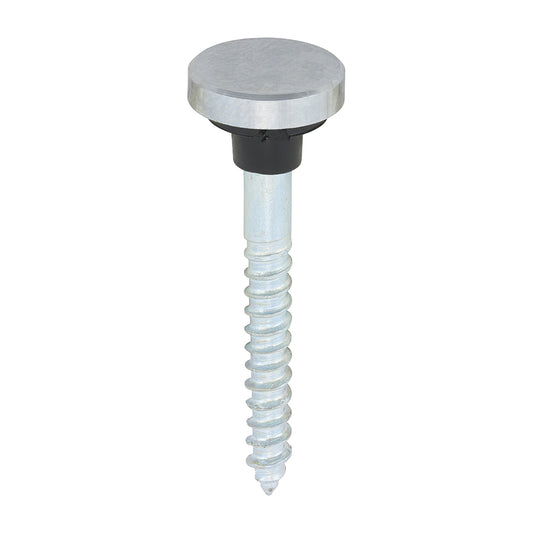 TIMCO Mirror Screws Flat Head Chrome - 8 x 1 1/2 - Image