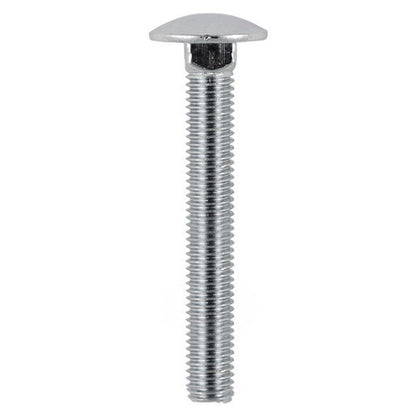 TIMCO Carriage Bolts DIN603 A2 Stainless Steel - M8 x 130 - Image