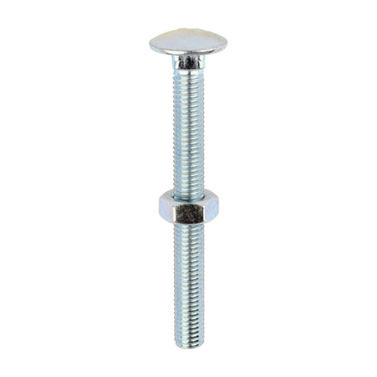 TIMCO Carriage Bolts DIN603 & Hex Full Nuts DIN934 Silver - M10 x 100 - Image