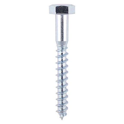 TIMCO Coach Screws Hex Head Silver  - 10.0 x 100 - Image