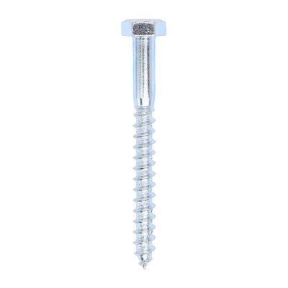 TIMCO Coach Screws Hex Head Silver  - 10.0 x 100 - Image