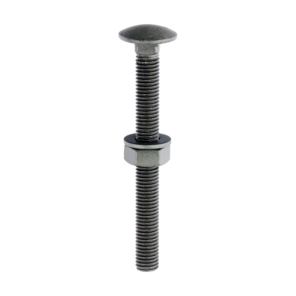 TIMCO Carriage Bolts DIN603 Hex Nuts & Form A Washers Green Exterior - M10 x 100 - Image