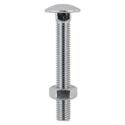 TIMCO Carriage Bolts DIN603 & Hex Full Nut DIN934 A2 Stainless Steel - M10 x 120 - Image