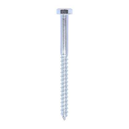 TIMCO Coach Screws Hex Head Silver  - 10.0 x 130 - Image